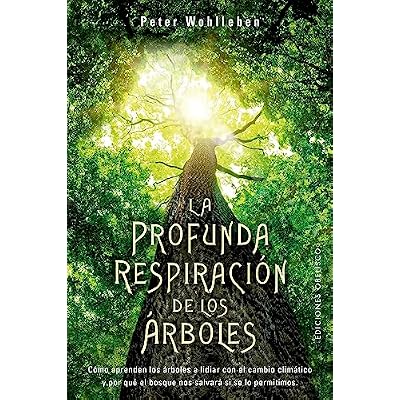 La profunda respiraci&oacute;n de los &aacute;rboles