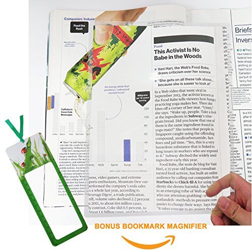 MagniPros Large Full Page 11