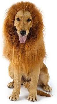 Amazon Cimiva ハロウィン ライオン たてがみ 犬用コスチューム 犬用 ライオンコスプレネックウォーマー ブラウン 耳なし ペット用品 通販