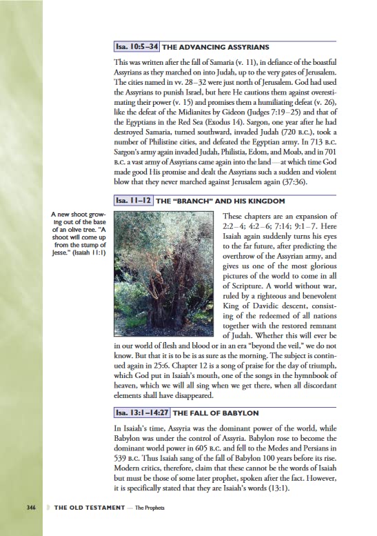 Halley's Bible Handbook, Deluxe Edition: Completely Revised and Expanded Edition---Over 6 Million Copies Sold - Image 6