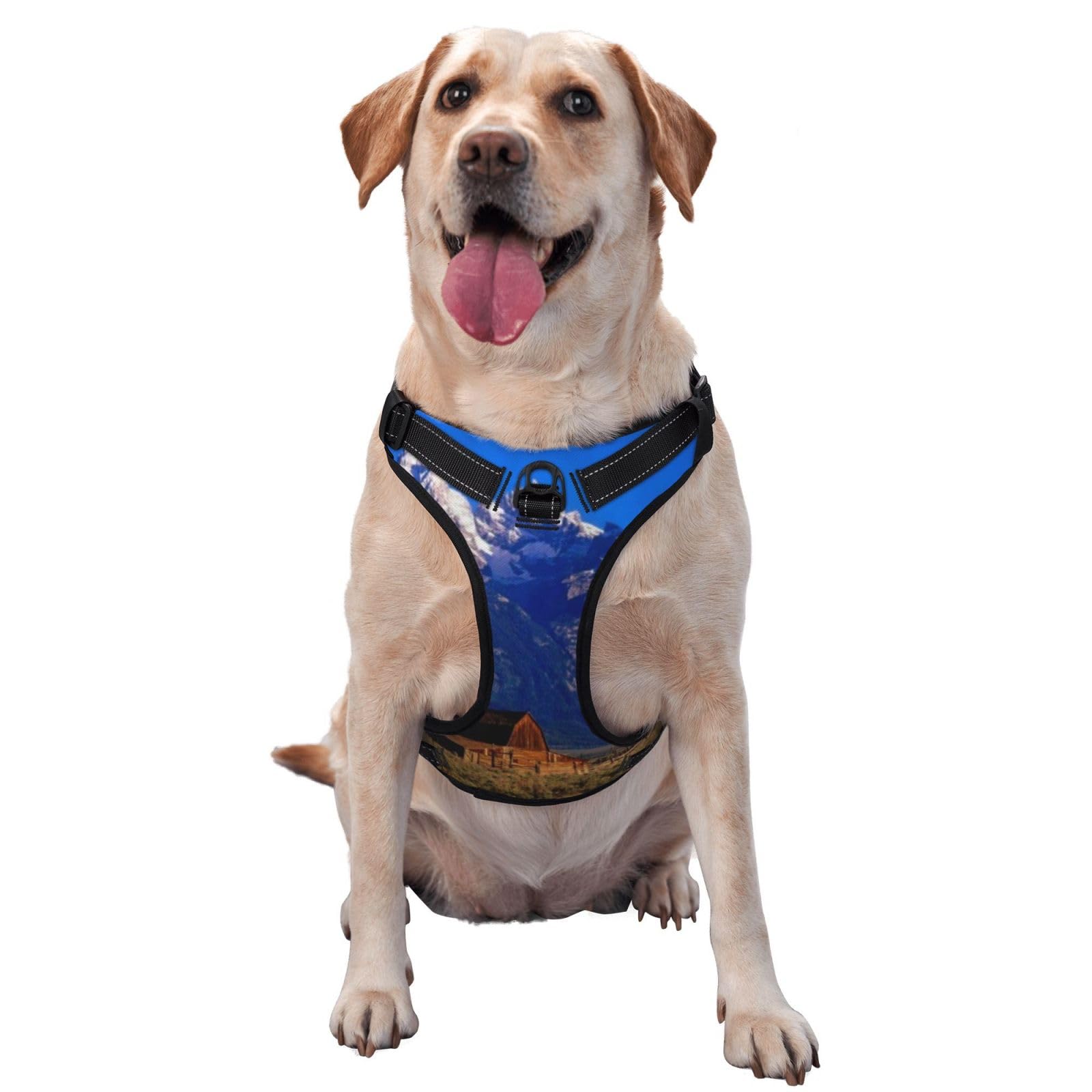 Grand Teton National Park Dog Walking Vest Harness Adjustable Pet Harness for Medium and Large Dogs
