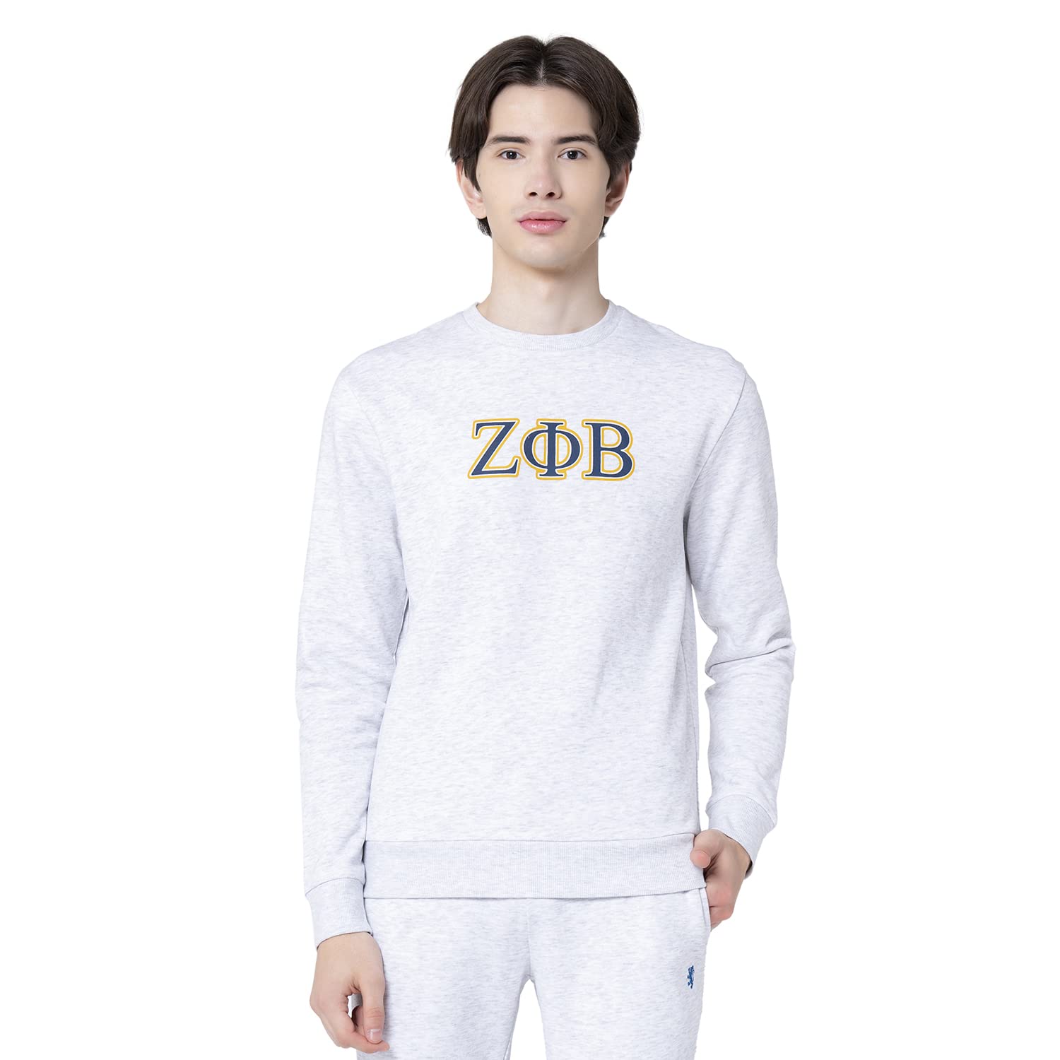 red tape Men's Light Grey Melange Printed Sweatshirt - RWS0257M-L-picture-21