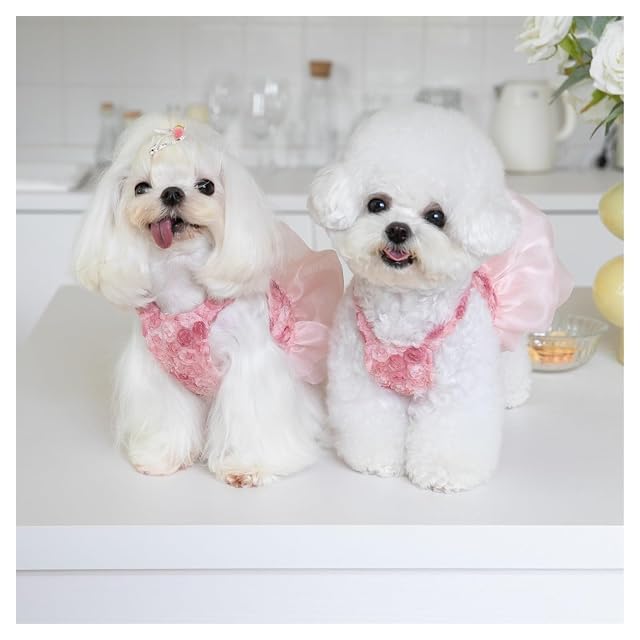 Foto 6 de 7 de Vestido de Perro, Falda de Hilo Bordado de Rosa for Mascotas, Traje de Mascota Lindo Traje de Vestido Rosa