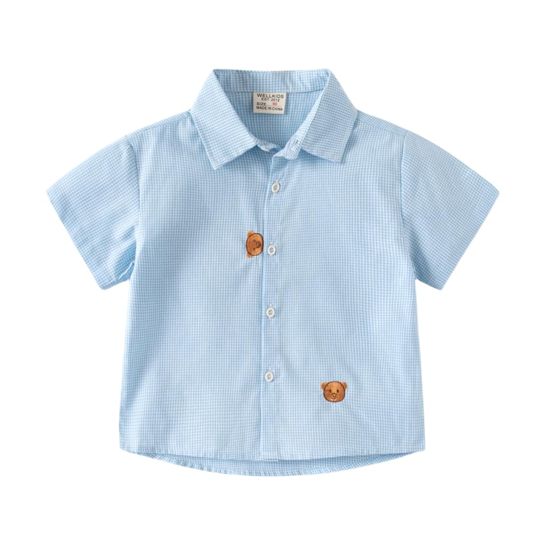 Little Baby Boys Plaid Short Sleeve Shirt Button Down Lapel Blouses Outwear Dress Shirt for Kids (Blue,90/18-24 M,Unisex,Big Kid,US,Age,18 Months,24 Months)