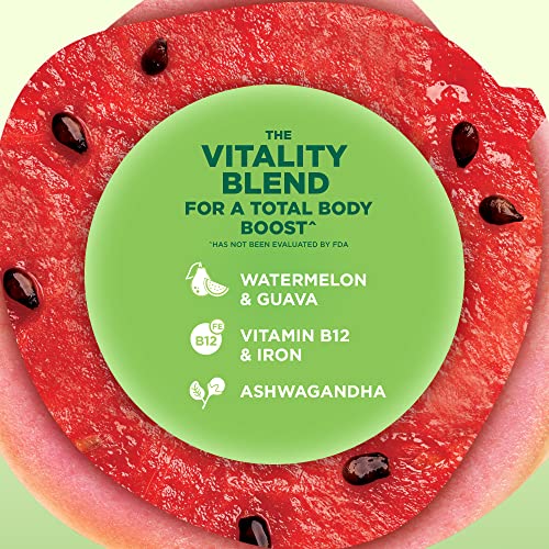 The Secret Nature Of Fruit Energy & Focus Chews Bundle, Energy With Vitamin B12, Iron, Ashwagandha & Focus With Vitamins B6 & B12, Choline, L-Theanine For Mental Clarity, 60 Count (Pack Of 2) #TOP2