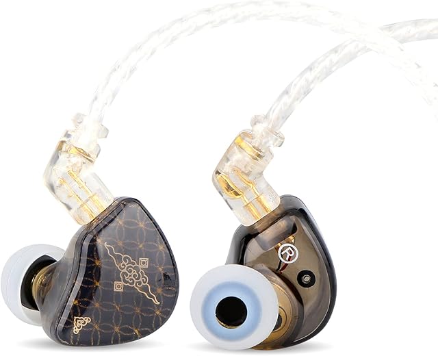 Linsoul TANGZU Waner S.G HiFi 10mm Dynamic Driver PET Diaphragm in-Ear Earphone with Ergonomic Shape, Detachable 2Pin OFC Braided Cable for Audiophile Musician DJ Stage (Black, TANGZU Waner S.G)