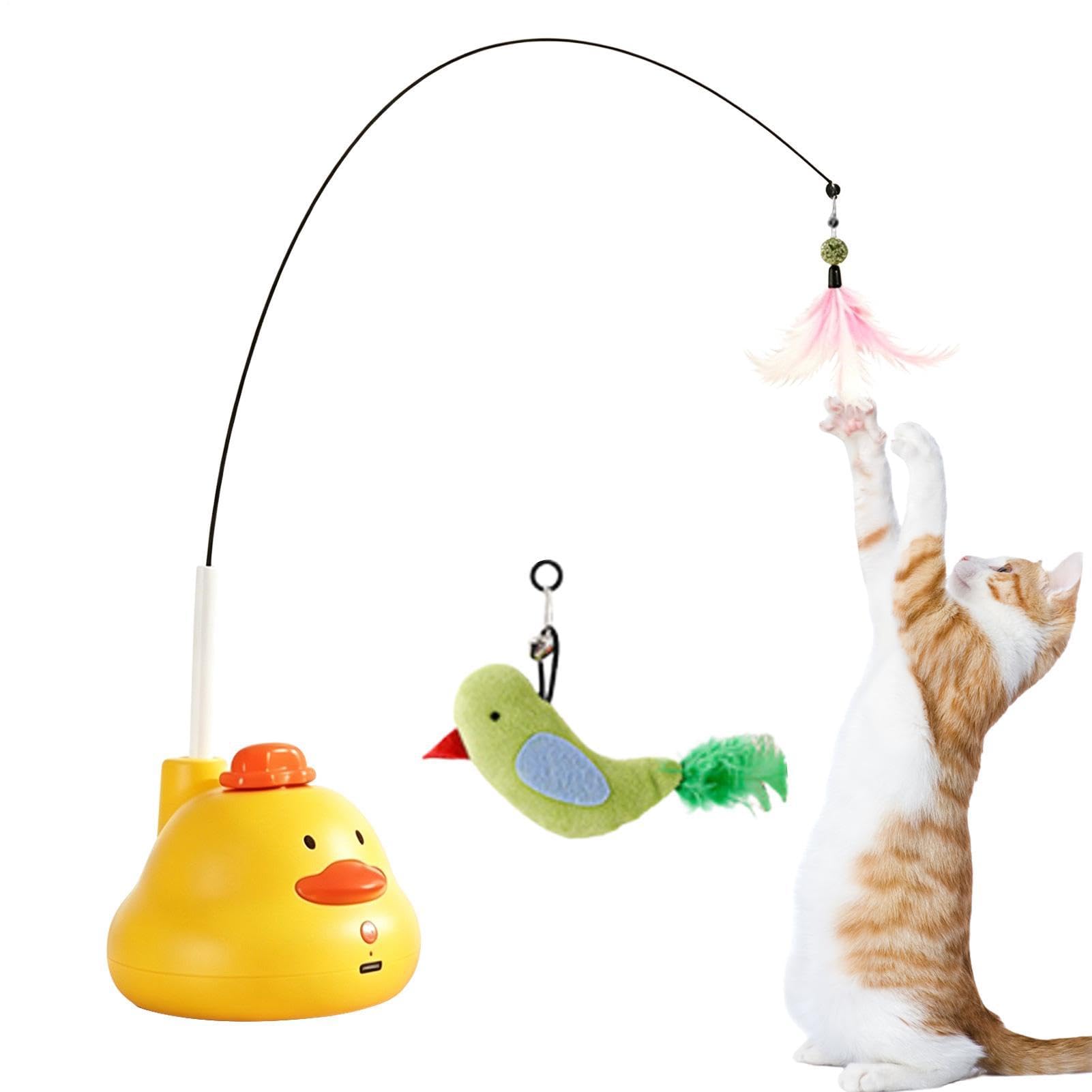 Jeux interactifs pour chats stimuler un chat sédentaire avec l'auto-jeu