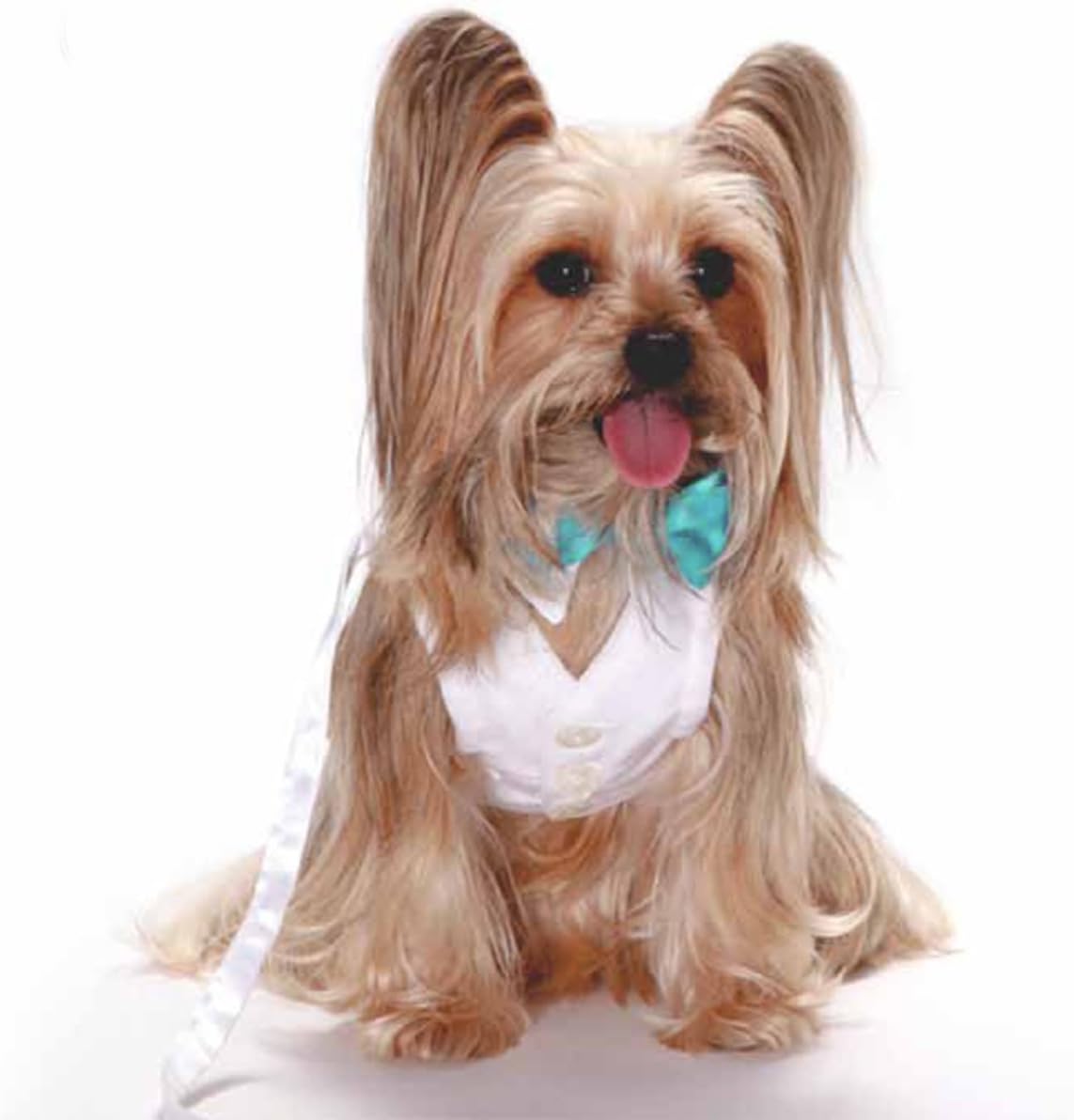 White Shirt Dog Collar with Aqua Blue Bow Tie 16"