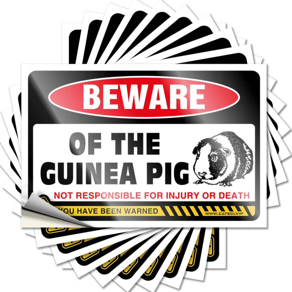 Decals Kitchen Decorations | Fuzzy Ideas Beware of Guinea Pig for Surf(8X12CM)