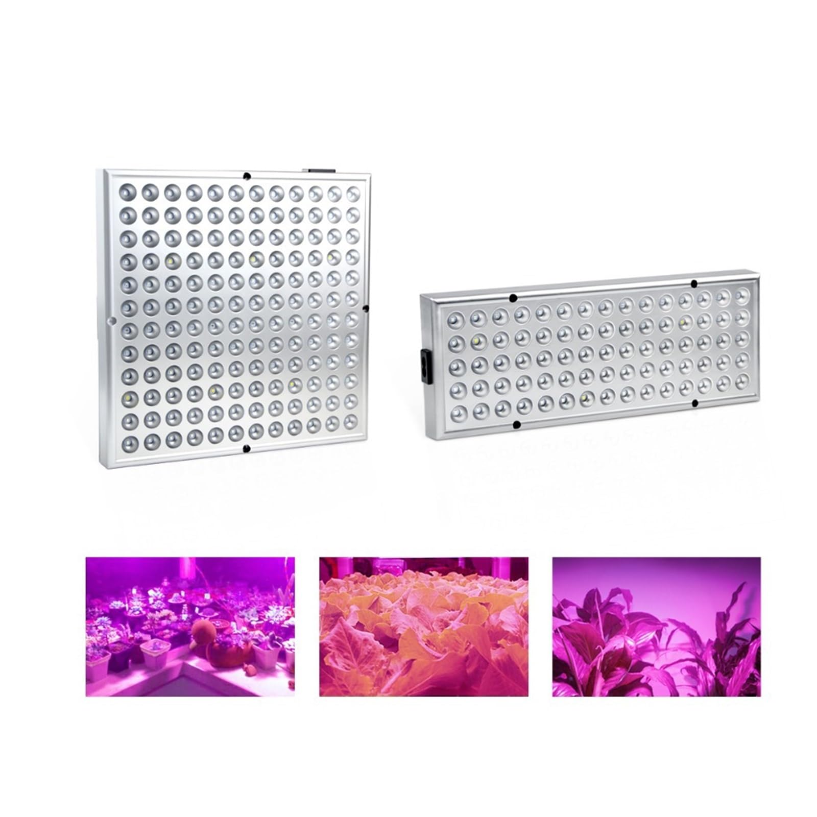 Lampe Horticole, Lampe de croissance à 75/144 LED 25 W/45 W Phytolamp for plantes Lampe de croissance à LED à spectre complet for semis de légumes Fleurs Lampe horticole(45W-144LED)