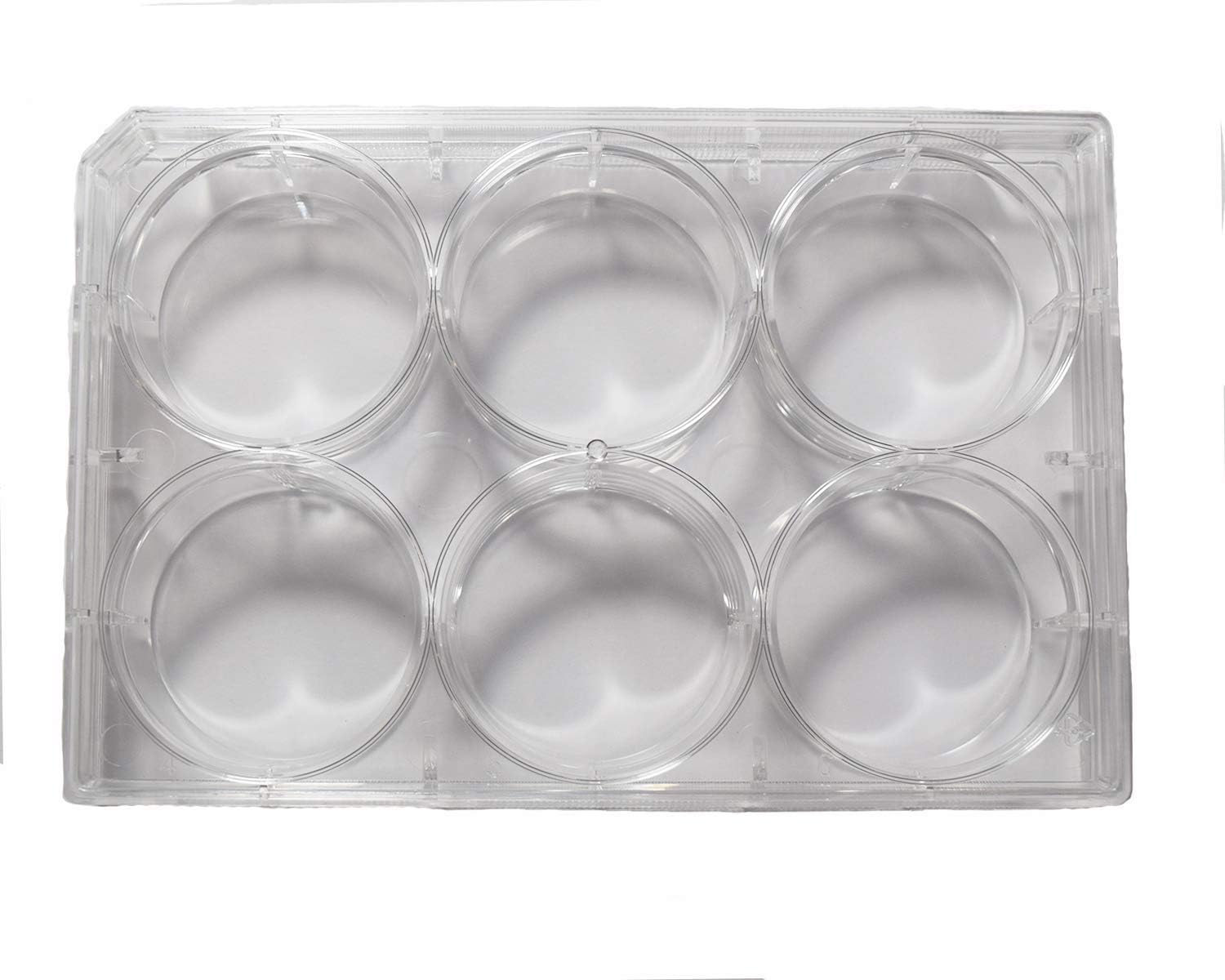 6 Well Non-Treated Sterile Flat Tissue Culture Plate with lid (50/Case)
