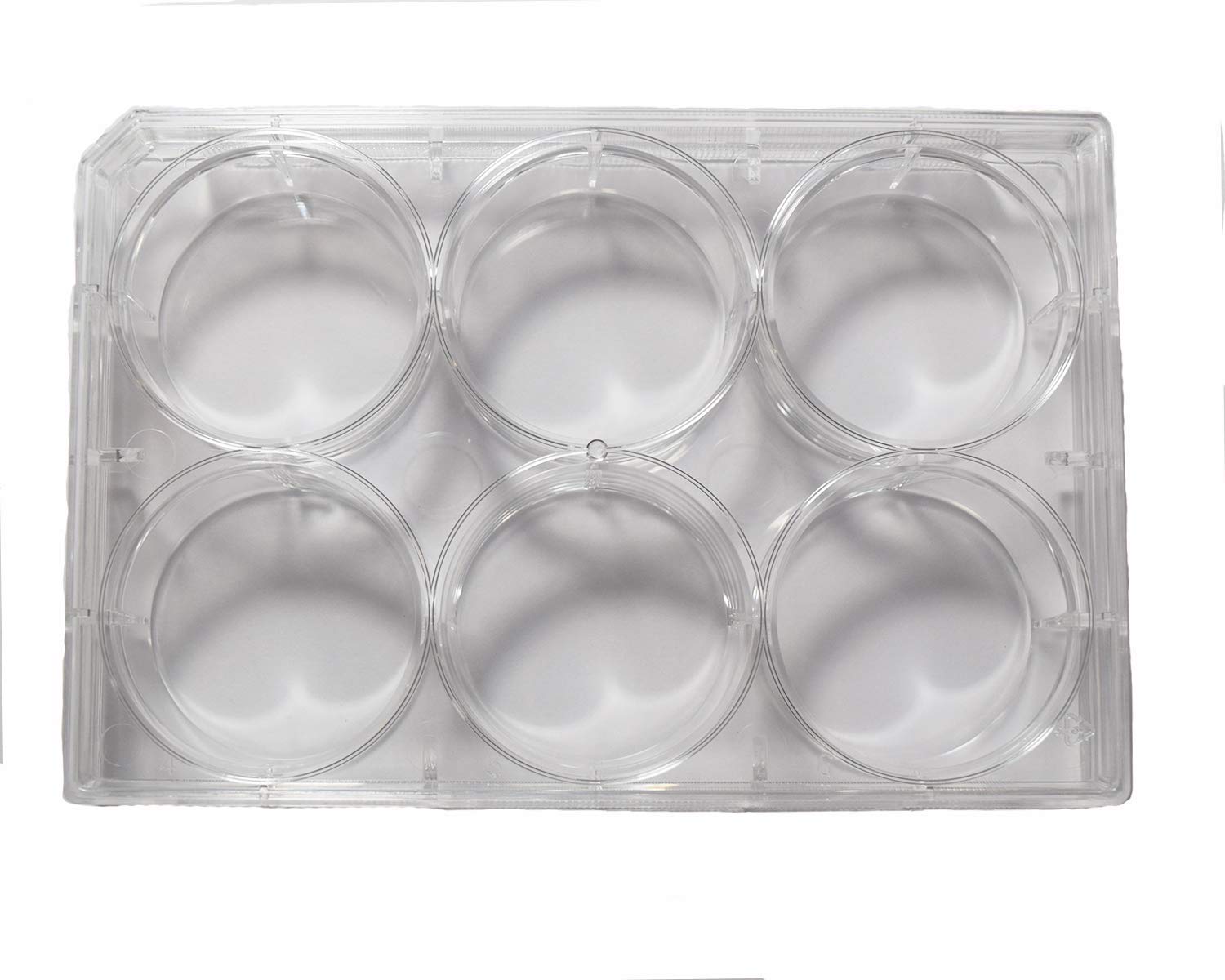 6 Well Non-Treated Sterile Flat Tissue Culture Plate with lid (50/Case)
