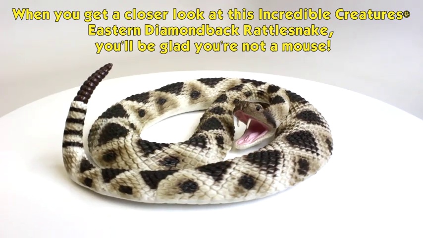 Amazon.com: Safari Ltd. Eastern Diamondback Rattlesnake Figurine