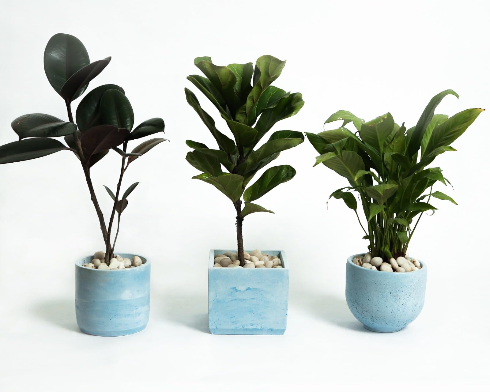 Earth Factor Art Concrete Round Planter Handmade Concrete Planter IndoorOutdoor Planter Decorative Planter Home Decor Living Room Decor Set of 3 Star (Green Small) (B0CBCGDDVG) Amazon Price History, Amazon Price Tracker