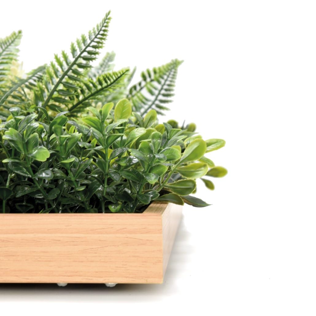 BONERVA Jardín Vertical Artificial Taormina con Marco de Madera Natural 50x50 cm Cuadro Vegetal Decorativo para Interior Estilo nórdico y contemporáneo sin Mantenimiento en oficinas y hoteles