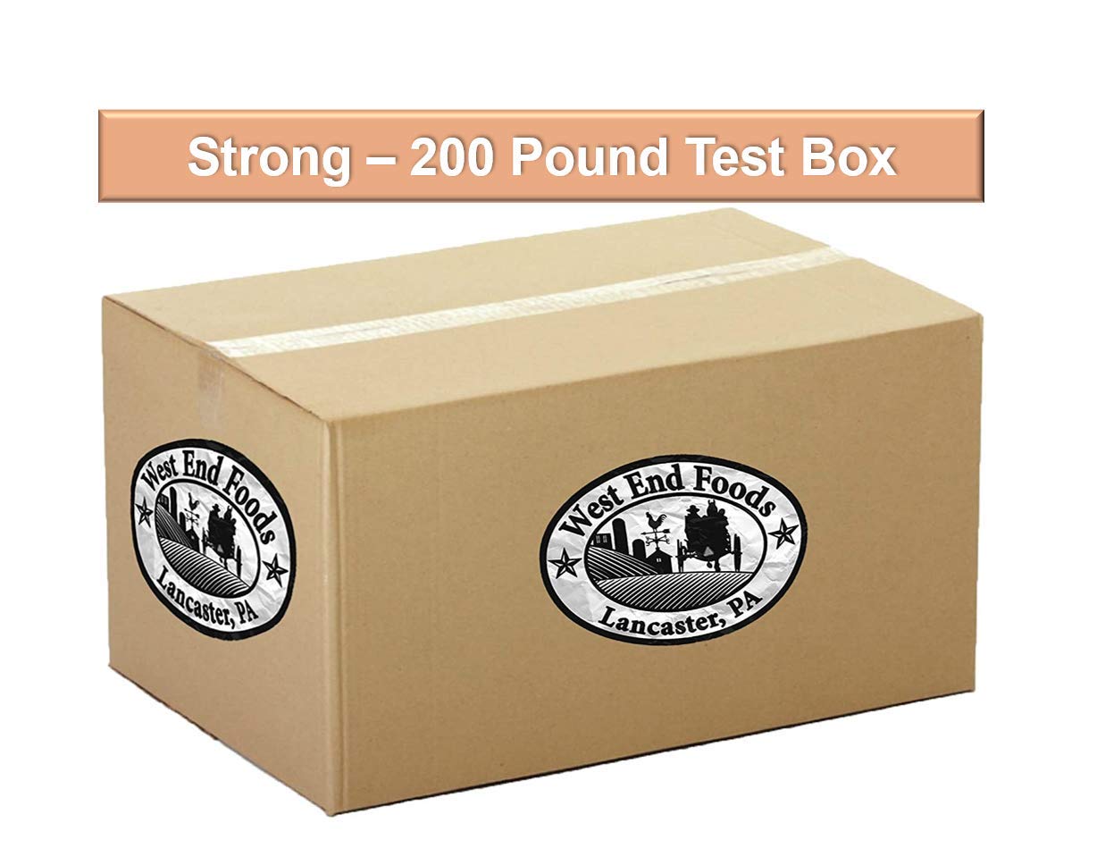 Root Beer Mini Soda Cans, 7.5 oz Soft Drinks Bulk Snacks Pack, Small Refrigerator & Snack Pantry Drink 24 Count Beverage Bedroom & Kitchen Supplies