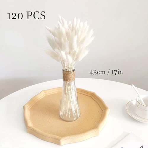 Miniatura 2 de 120 piezas de flores naturales de cola de conejo, cola de conejo de lagurus, hierba de pampas, ramo de hierba seca lagurus ovatus para arreglos
