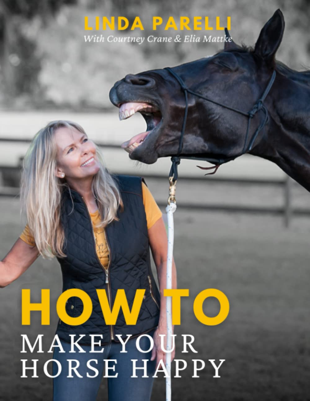 How to Make Your Horse Happy