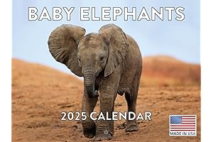 2025 Monthly Wall Calender Baby Elephant's Life Adventure
