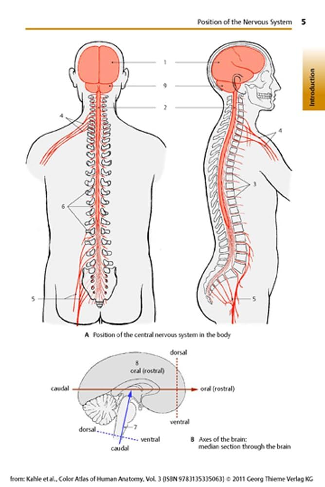 カラーアトラス脊椎・脊髄外科 = Color Atlas of Spine S… カラーアトラス脊椎・脊髄外科 = Color Atlas of Spine S