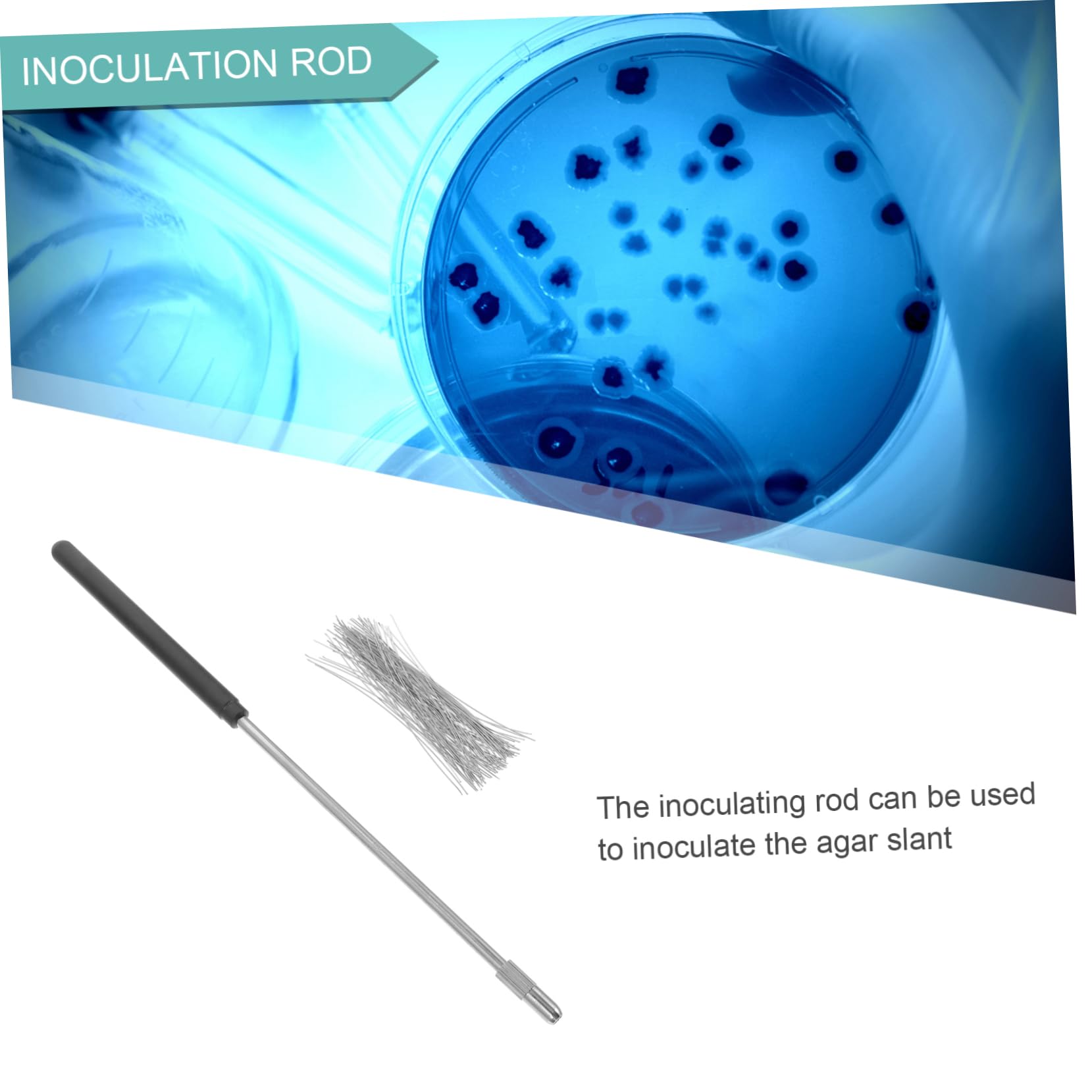 Cabilock 3 Set Bastoni Inoculazione in Inossidabile per Laboratorio Microbiologico con Filo Nichelcromo per Esperimenti Scientifici Inoculazione Campioni Accessori per Test Chimici