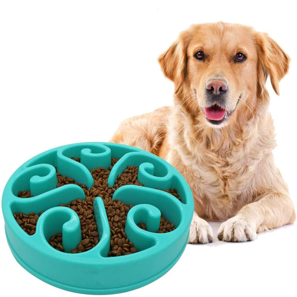 HEELPPO Slow Feeding Dog Bowl Dog Bowl Slow Eating Anti Gulp Dog Bowl Cat Feeder Bowl Dog Bowls Medium Fun Foraging Dog Bowl Bloat Stop Dog Bowl light blue