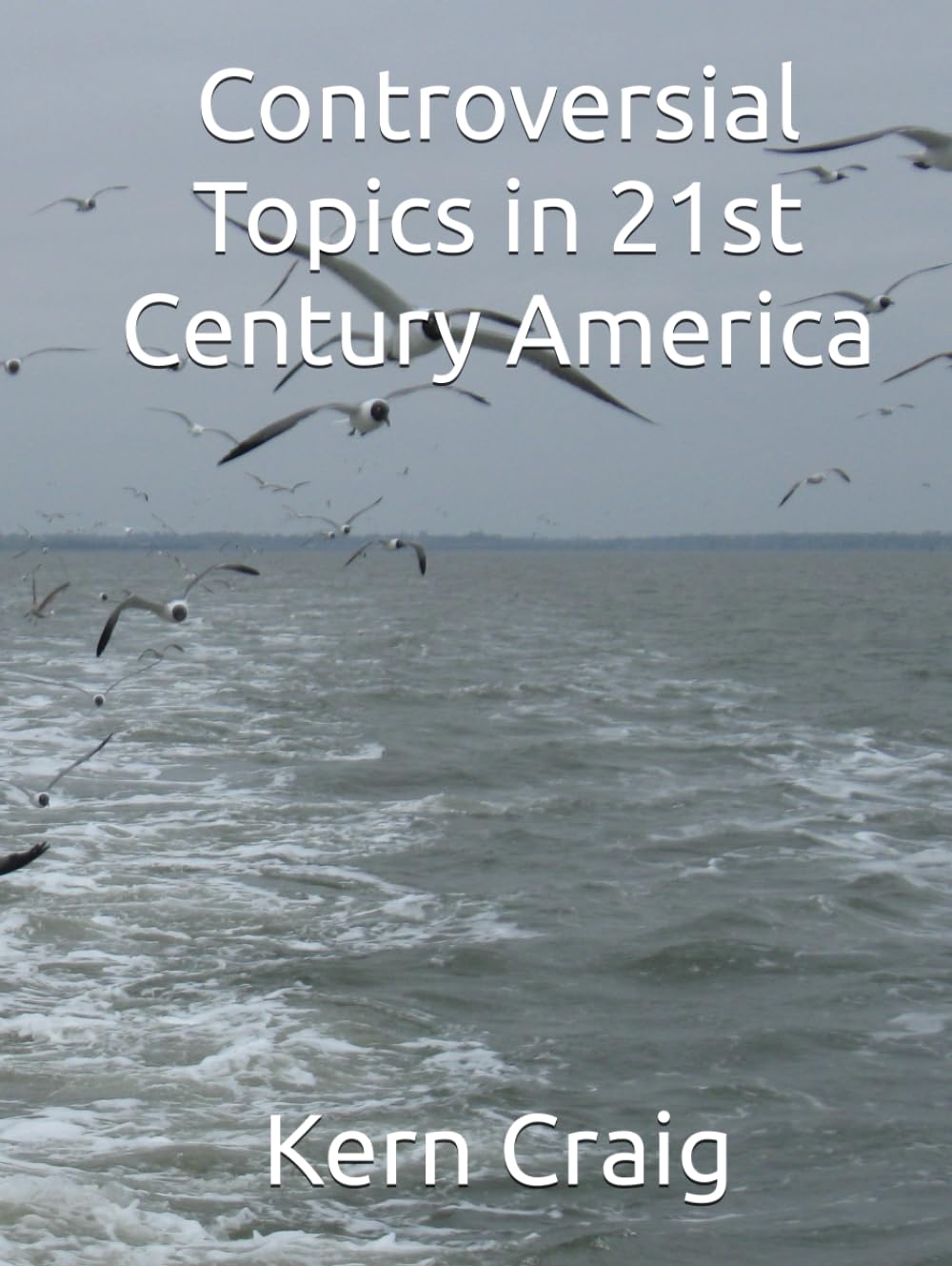 Controversial Topics in 21st Century America