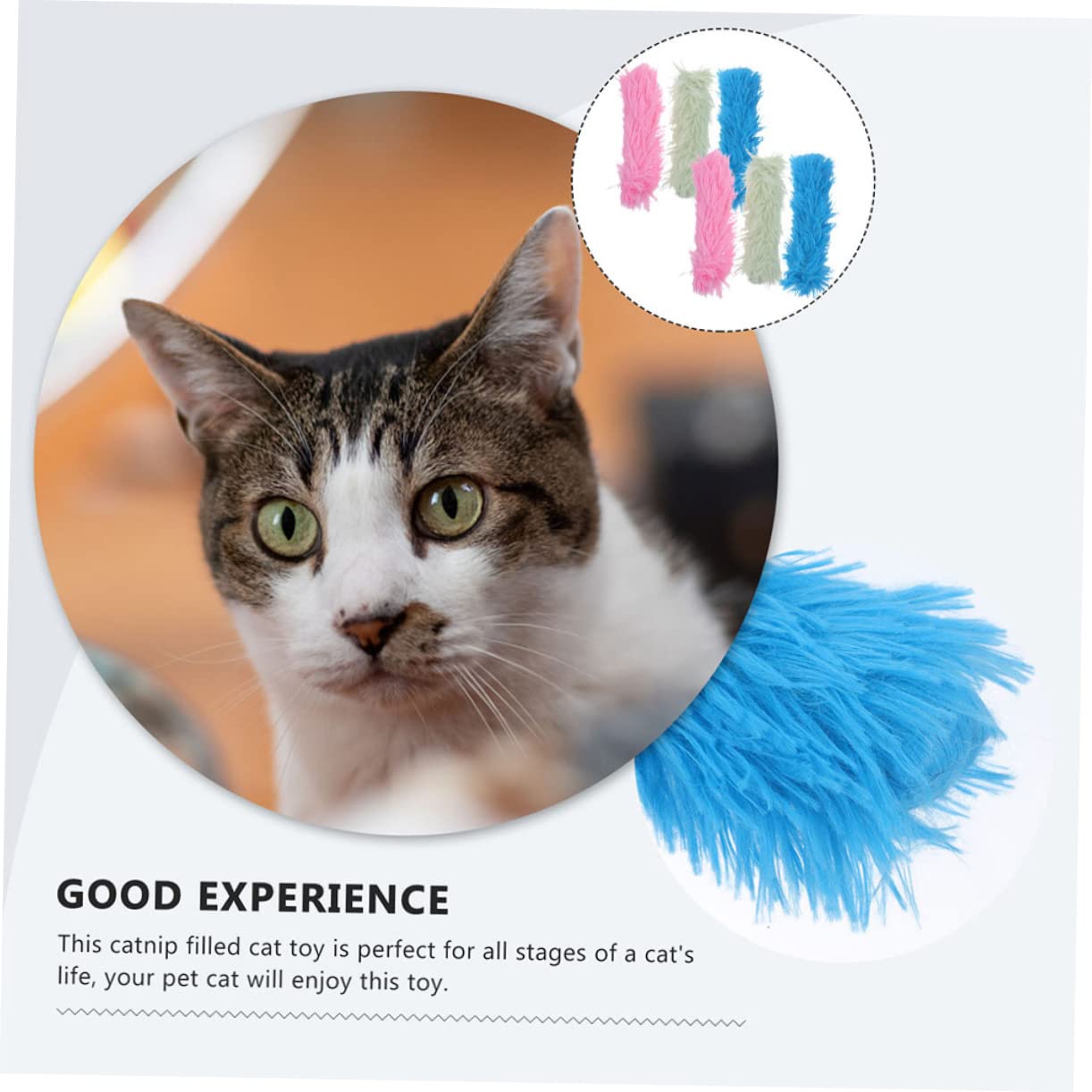 Happyyami 18pièces Jouets Interactifs Cataire pour Chats Coussin Doux avec Herbe à Chat Jouets à Mâcher Fournitures pour Animaux De Compagnie