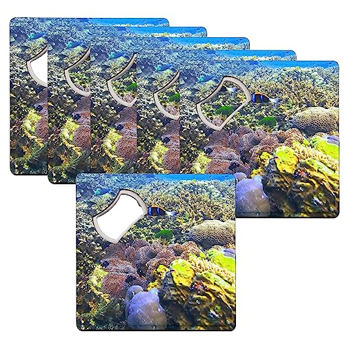 Sous verre décapsuleur poisson clown cadeau idéal thématique mer