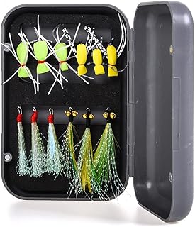 Leo Fly Fishing Dry Flies Wet Flies Mixed Kit Fly Fishing Fly Kit 12 Pieces Fly Fishing Lure with Waterproof Fly Box Suitable for A Variety of Fish, Bionic color