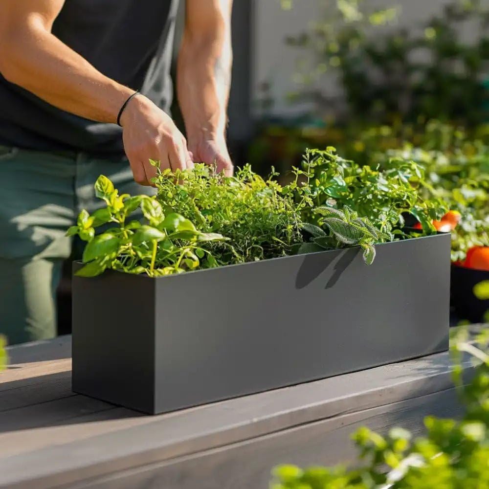 Tulipy Matte Grey 1.2M/1M/75Cm/70Cm Zinc Galvanised Trough Planter | No Assembly Needed | Lightweight (, L70cm X W24cm X H24cm)