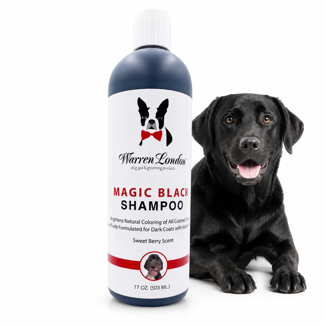 Warren London Magic Black Dog Shampoo