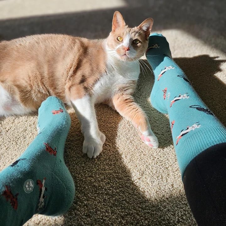 Image of Conscious Step Women's Fair Trade Organic Cotton Crew Socks | 3 Pack | Every Pair Helps Support our Humanitarian Partners