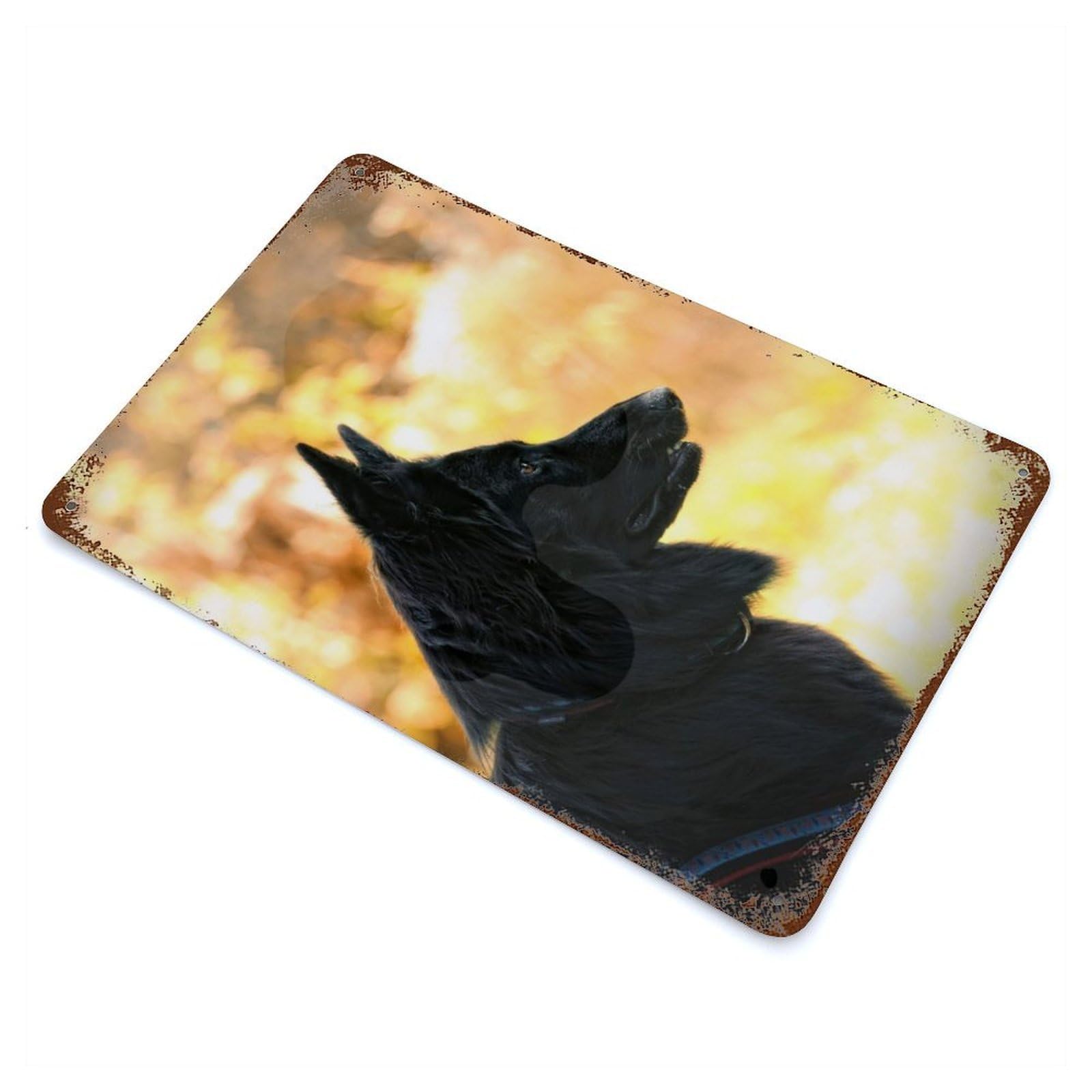 Garage Style Belgian Shepherd Dog Vintage Rust Metal Sign 11.8"x7.9", Retro Wall Decor for Bar And Workshop