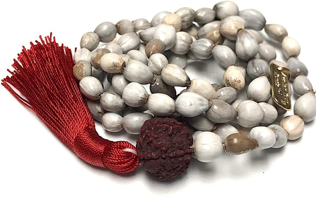 Vijayanti Vaijayanti mala beads necklace - Victory Mala 108 prayer beads for Laxmi Lakshmi Vishnu Krishna pooja puja - 5 mukhi (5 face) Rudraksha Rudraksh Guru bead - Awaken - w/Velvet Rosary pouch