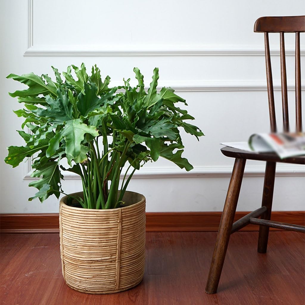 GUERNSEY Planters Woven Cement Flower Pots for Living Room Simple Interior Cement Flower Pots Suitable for Herbs and Flowers with Drainage Nursery Pots (Size : Medium)