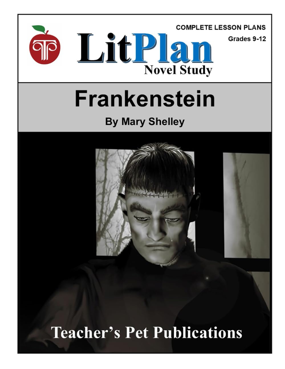 Frankenstein LitPlan Novel Study (LitPlan Novel Study Units)