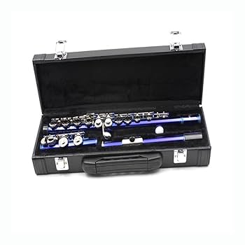 Amazon | 人工レザー フルートハードケース 耐久性 | 木管楽器