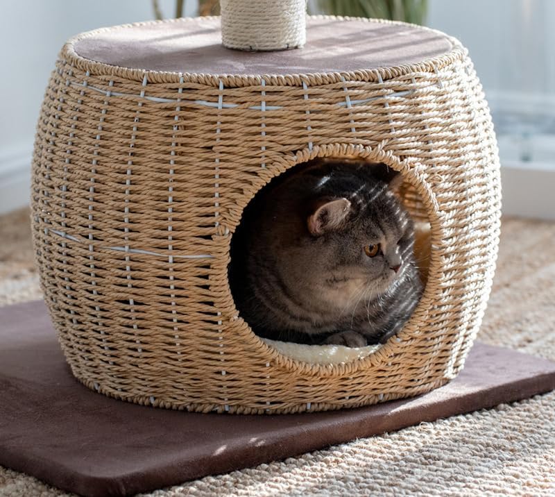 review Cat Tree Tower Modern Cat Tree for Indoor Cats Cat Scratching Post Cat Condo Cat Bed Toy