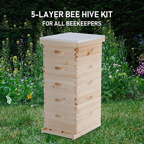 CREWORKS 5 Layer Bee Hive, Beehive for Honey, Bee Box Beekeeping Supplies, Hive Kit for Starter Beekeeper (No Frames)