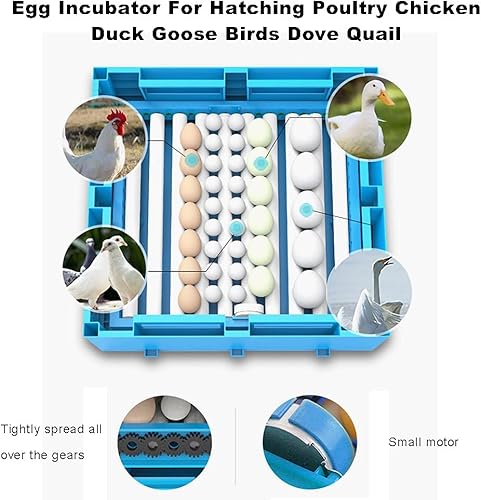 Miniatura 2 de Incubadora de huevos con torneado automático de huevos 320 grandes para incubar pollo, pato, paloma, codorniz, palomas, cría de granja