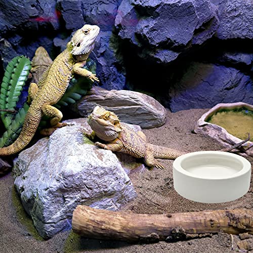 iHomeSet 2 Pcs Reptile Food Bowl Ceramic Water Feeder Bowls Anti- Escape Mini Reptile Feeder for Lizard, Gecko etc… - Image 6