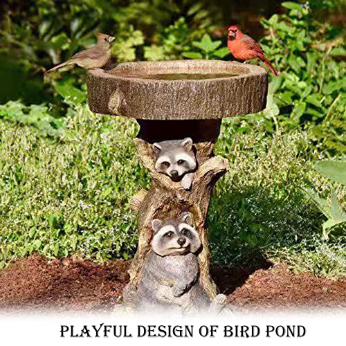 Bain d'oiseau déco raton laveur, cadeau idéal pour jardinier - 4