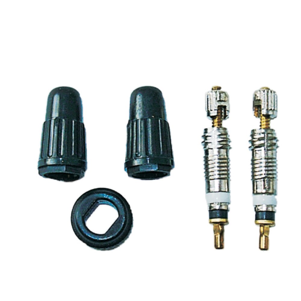 Weldtite Valve Core and Caps Kit (for Presta Valves) - One Colour , Presta STD Valve