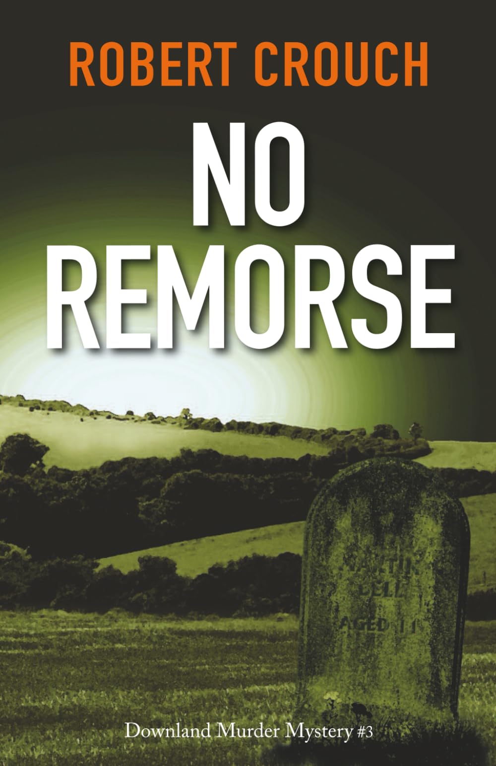 No Remorse (The Downland Murder Mysteries)