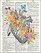 Fresh Prints of CT Dictionary Art Print - Human Heart with Victorian Flowers - Printed on Recycled Vintage Dictionary Paper - 8.5