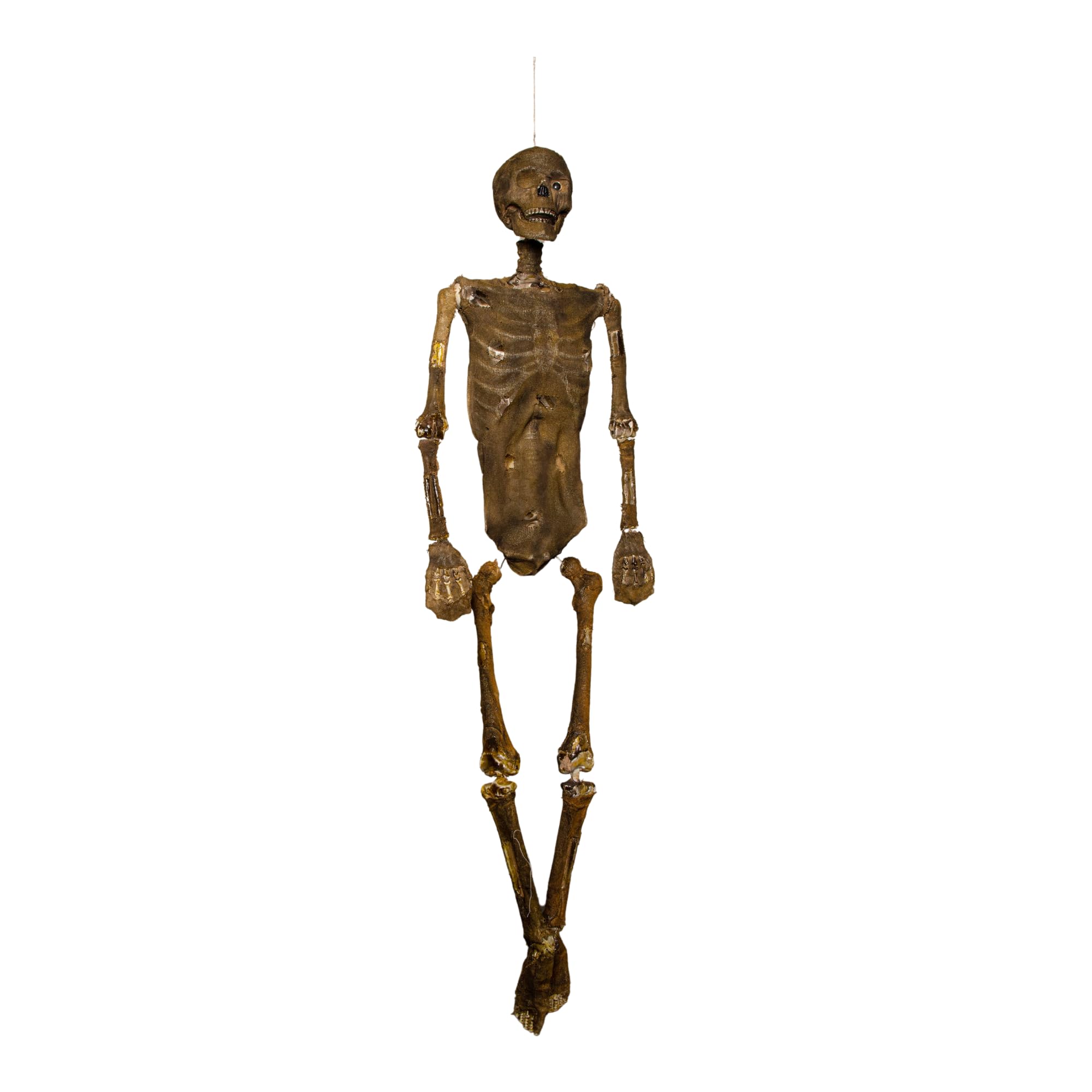 5ft Mummified Skeleton Halloween Decoration - Posable Joints - Durable Plastic - Samuel Alexander