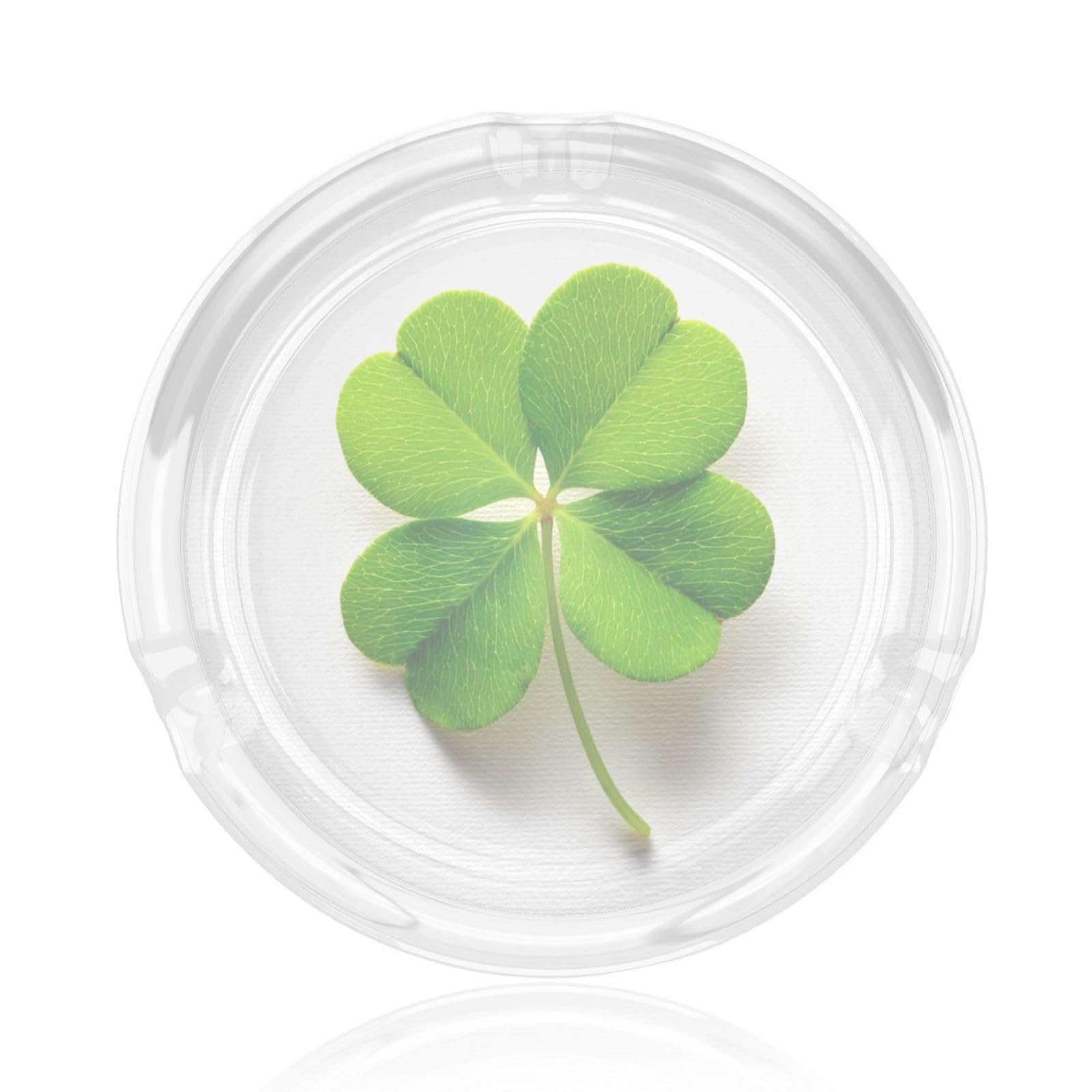 Shamrock On White Glass Ashtray For Cigarettes Ash Trays Case For Home Office Decor