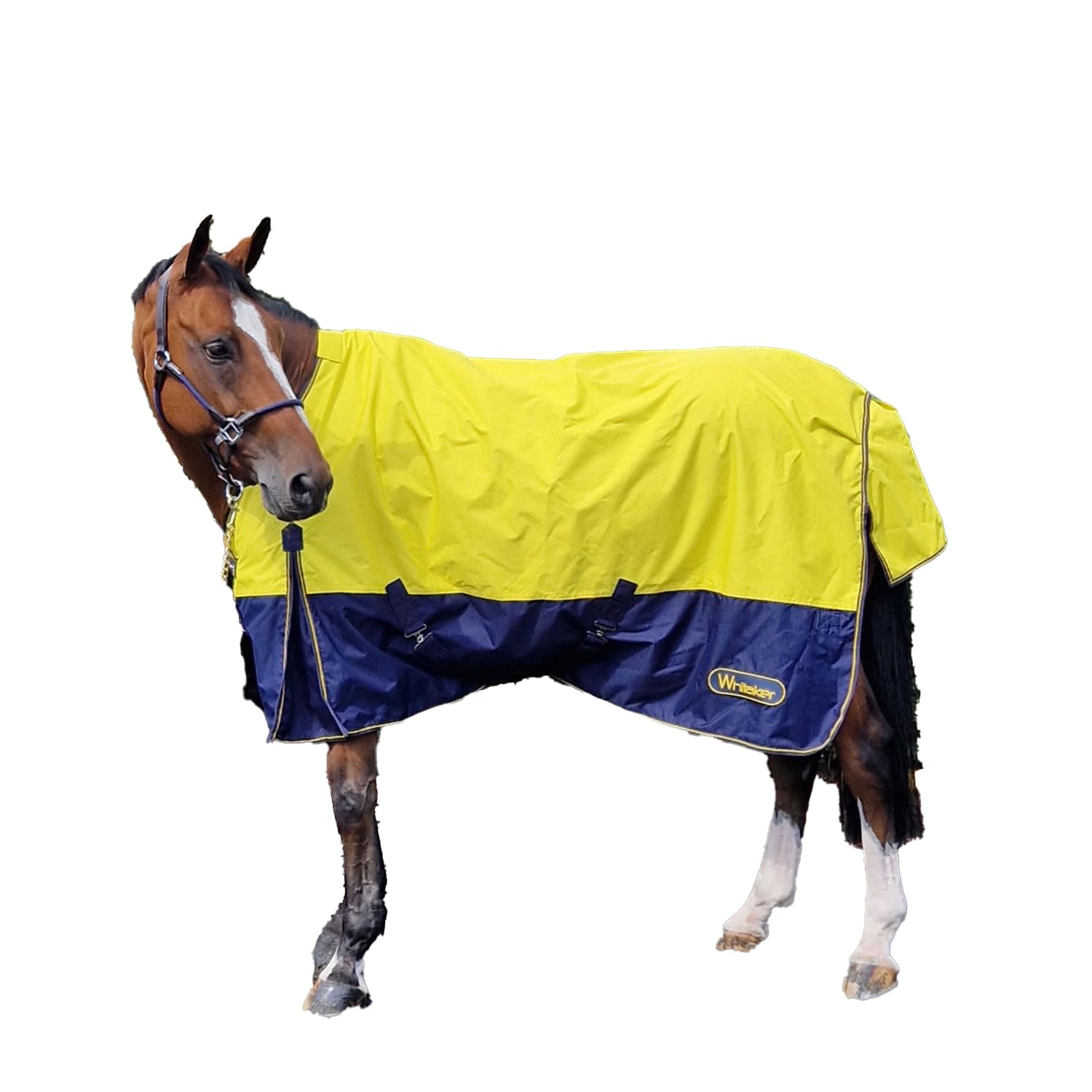 Whitaker Hornsea Horse Combo Neck Turnout Rug (6´) (Yellow)