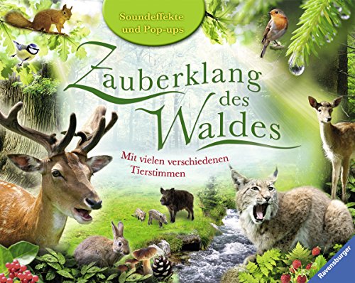 Preisvergleich Produktbild Zauberklang des Waldes: Mit vielen verschiedenen Tierstimmen